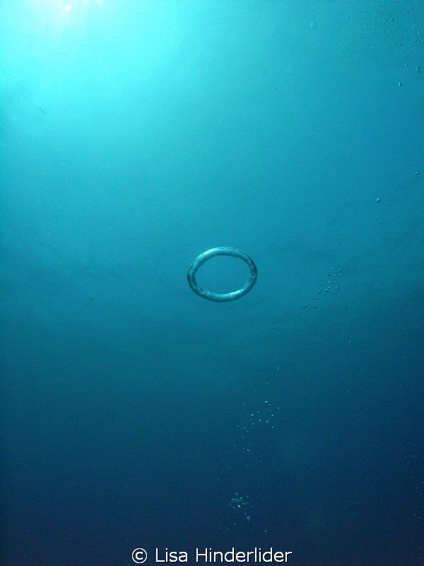 "Willies Ring" by Lisa Hinderlider 