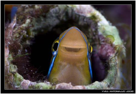 Home sweet home              Fuji S5 pro/105 VR by Yves Antoniazzo 