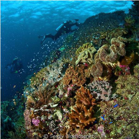 Raja Ampat by Sergiy Glushchenko 