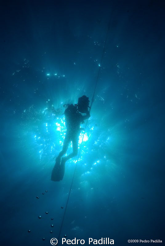 Videographer Diver Silhouette
Nikon D80 with 18-55 mm le... by Pedro Padilla 
