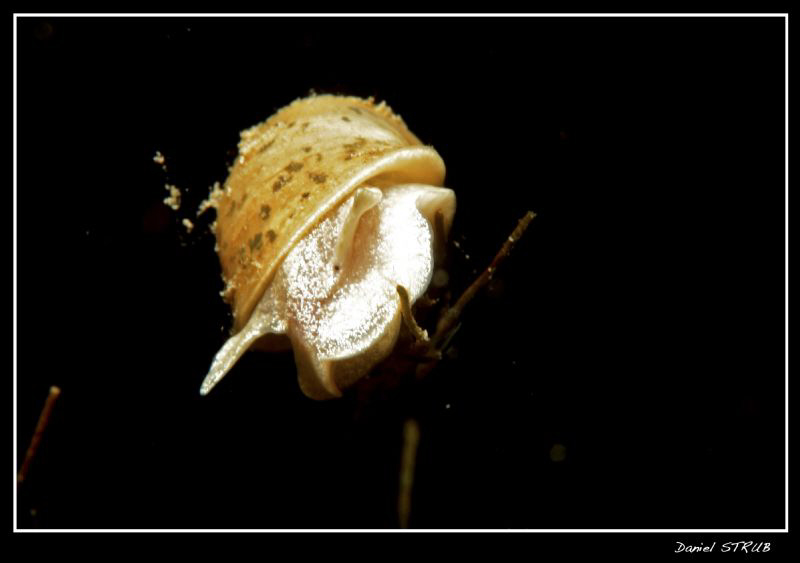 as there were som particles in suspension, i had to push ... by Daniel Strub 
