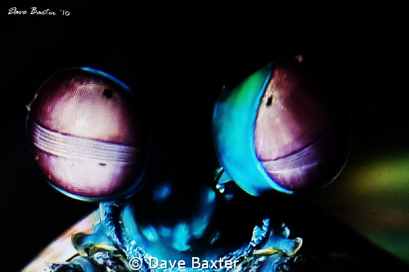 the eyes by Dave Baxter 