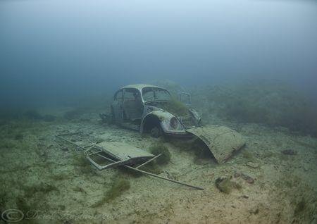 Beetle. D200, 10.5mm. by Derek Haslam 