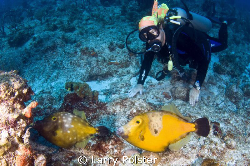 West wall, Salt River, St. Croix  D300-Tokina 10-17mm by Larry Polster 