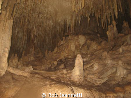In a place called "The Cathedral" in the Cenote Chac Mool... by Bob Jeannetti 