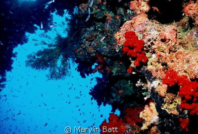 Wide angle of beautiful bomme with all that makes Fiji on... by Marylin Batt 