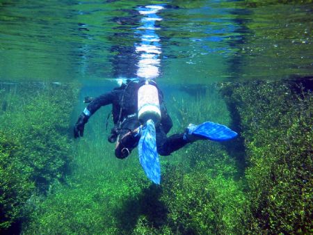 Photo of Dive Buddy going through Ewans Ponds in South Au... by Daryl Gabriel 