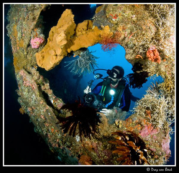 Karin at the Liberty wreck. by Dray Van Beeck 