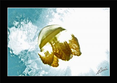 april 3rd was indeed a jelly day around Bida Nok & Bida N... by Adriano Trapani 