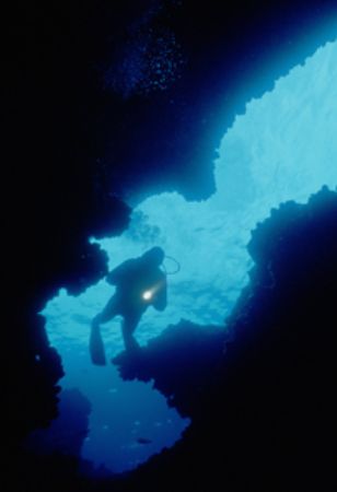 A Model at a very shallow reef called breakung waters in ... by Sean Sequeira 