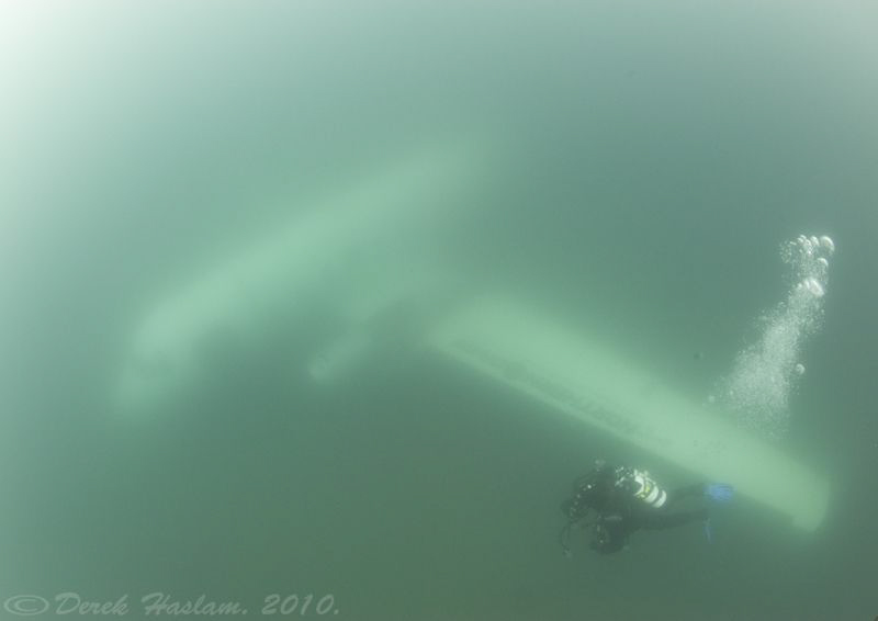 Mr T on plane wreck. by Derek Haslam 