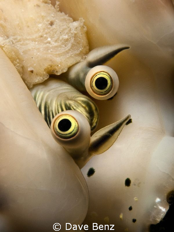 Hey...what´s up ??? by Dave Benz 