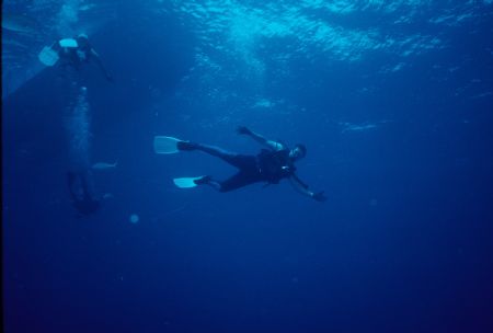 free fall by Eddie Jones 