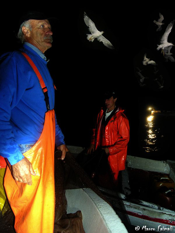 Fishing on lamp boats!.......(Compact camera Nikon Coolpi... by Marco Faimali 