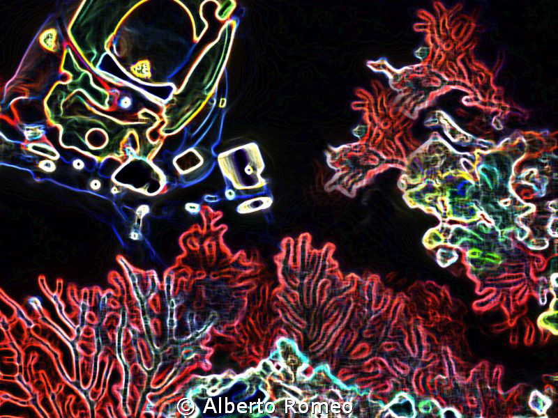 Diver and gorgonians. by Alberto Romeo 