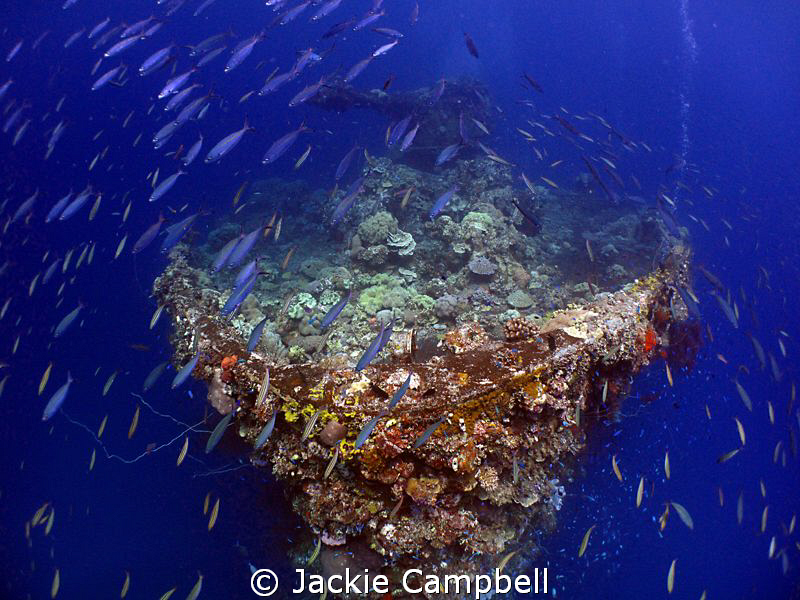 Bow of Fujikawa Maru.
Taken in Truk lagoon on last day o... by Jackie Campbell 