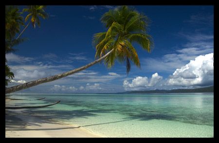 Taken at Kri Island in Papua. Used Nikon D1x by Scotty Graham 