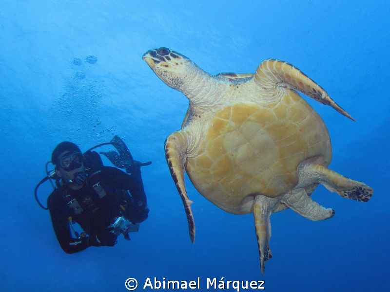 Eduardo and the turtle by Abimael Márquez 