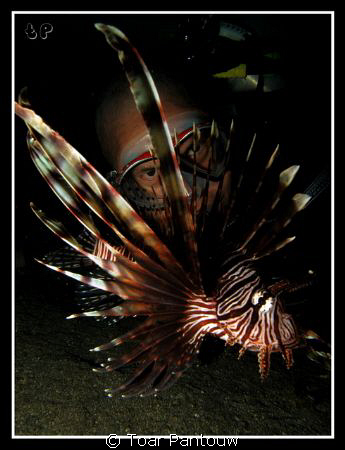 3 eyes...
shore dive heading to Mandarin Fish Spot in th... by Toar Pantouw 