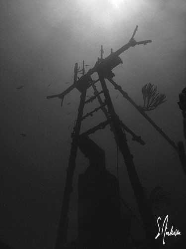 My second favorite wreck off Nassau - The Sea Viking. Thi... by Steven Anderson 