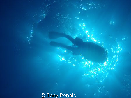 Really like the way the light scatters for this shot. by Tony Ronald 
