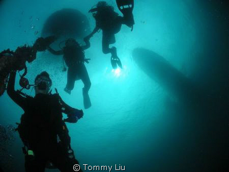 bottom up... by Tommy Liu 