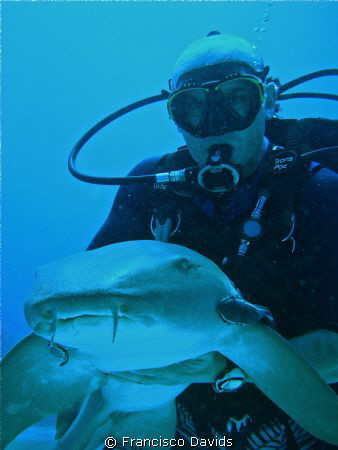 Dangerous? oh yes, but  not sharks !!! by Francisco Davids 