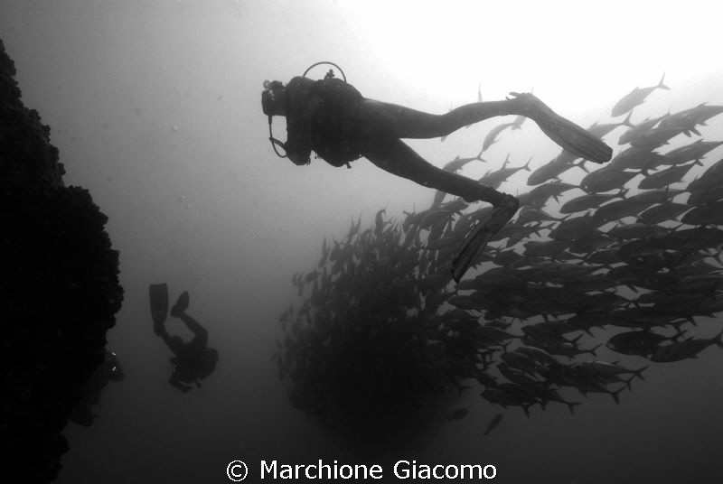 The twister
Nikon D200, 17-34mmNikon ,twin strobo
Coco ... by Marchione Giacomo 