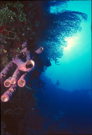 Wreck of the wall, Nassau by Marco Reis 