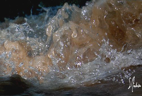 There is no sea to attach this to, but this image was tak... by Steven Anderson 