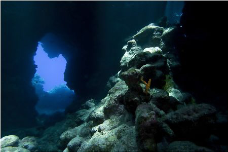 Reef Claudia, St. Johns Reefs System by Sergiy Glushchenko 