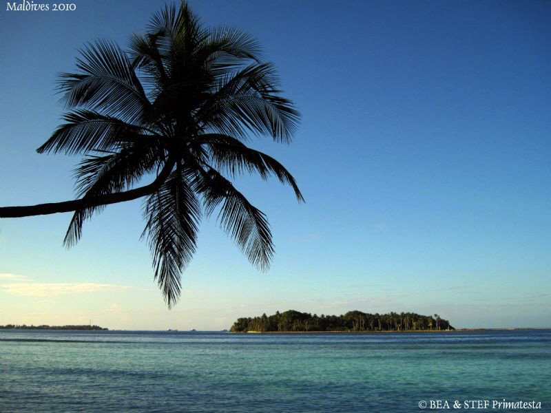 Maldives. Canon Ixus 980. by Bea & Stef Primatesta 