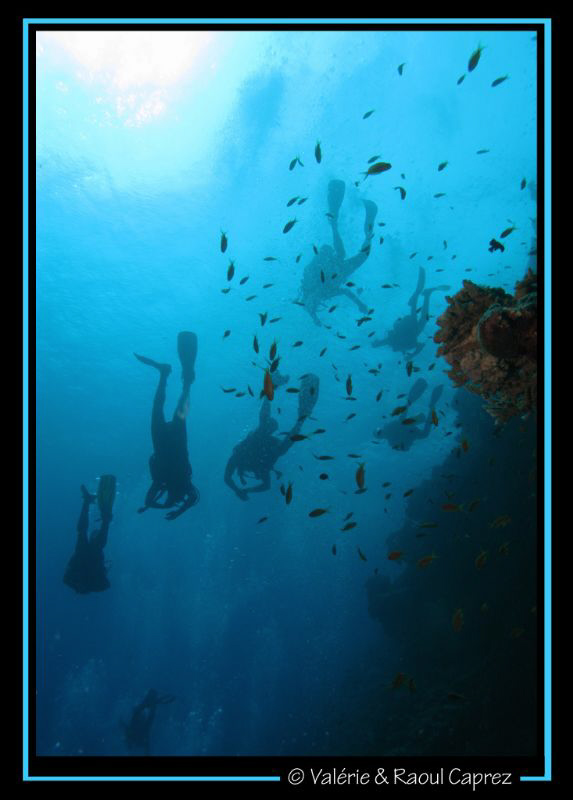 What a crowd this day in Dahab (Egypt). It was better und... by Raoul Caprez 
