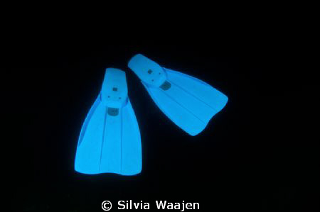 The shot was taken during a nightdive in januari. The wat... by Silvia Waajen 