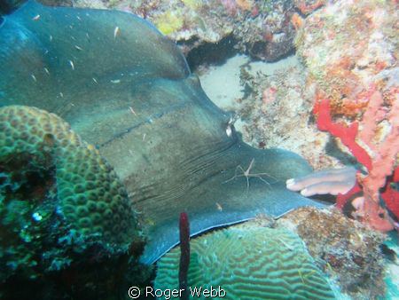 touched... by Roger Webb 