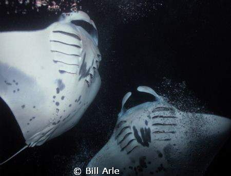 Manta dance by Bill Arle 