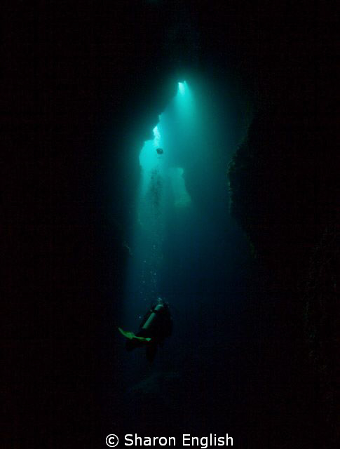 'Into the light' on a dive site named Cathedral in Port V... by Sharon English 