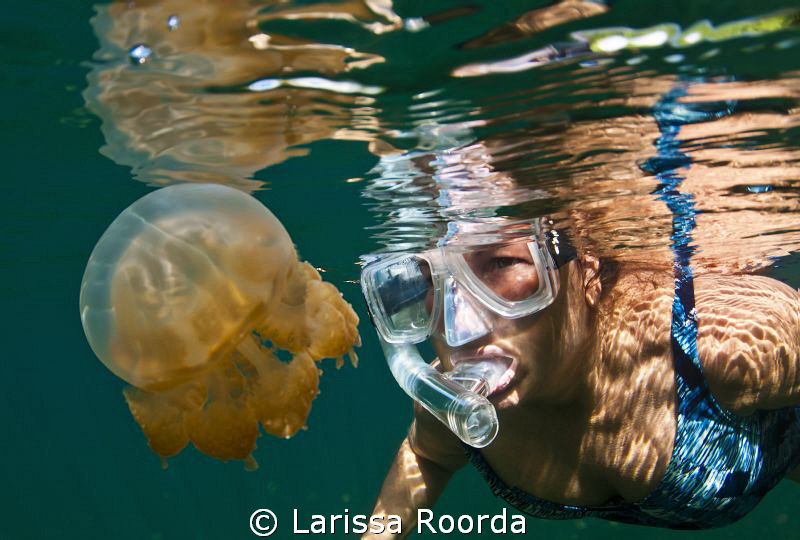 A pic of Jo in Palau, Jellyfish Lake.  Thanks - Jo!  (17mm) by Larissa Roorda 