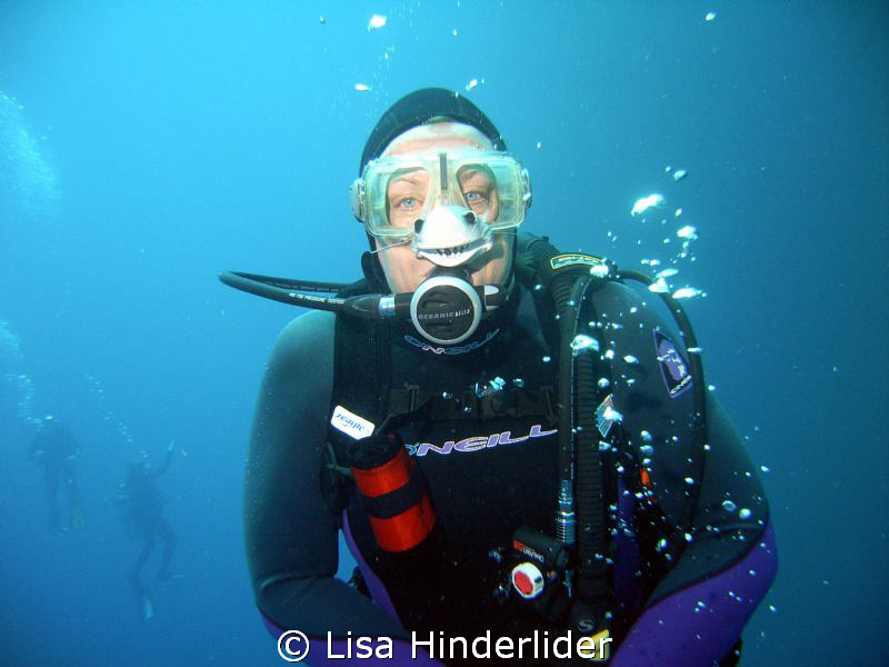 Shark-nose by Lisa Hinderlider 