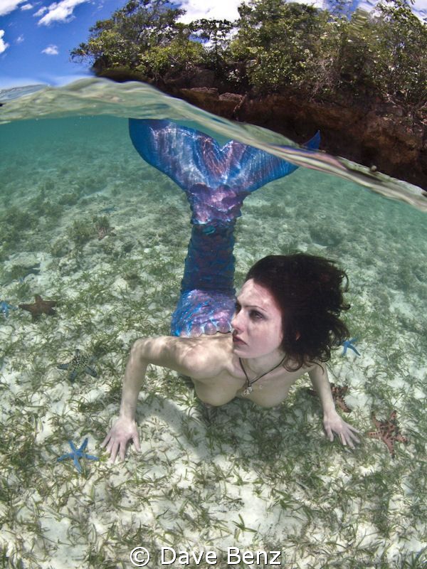 Oups...I found this mermaid during my snorkle-trip. But s... by Dave Benz 