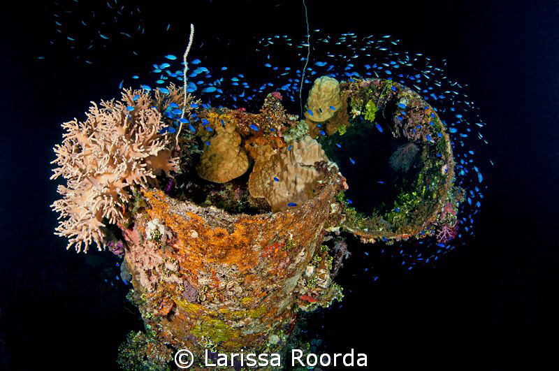 Smoke stacks on the Fujikawa Maru,  Truk Lagoon. by Larissa Roorda 