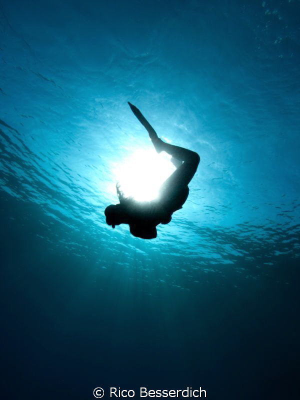 It was a great underwater photo session, when I worked wi... by Rico Besserdich 