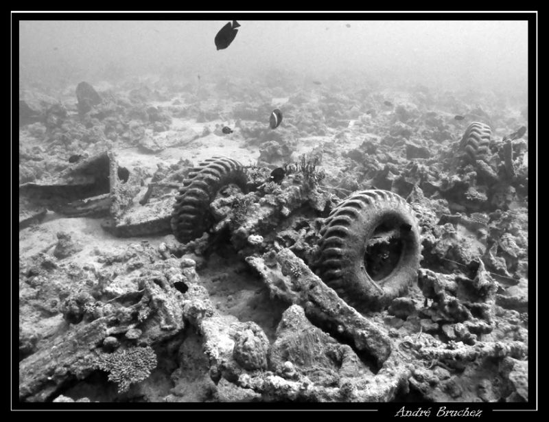Autour du Thistlegorm, les morceaux de ferails jonchent l... by André Bruchez 