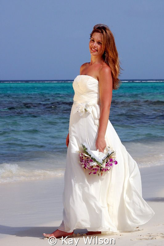 Bride at the beach... by Kay Wilson 