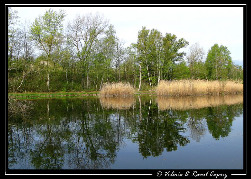 Mirror by Raoul Caprez 