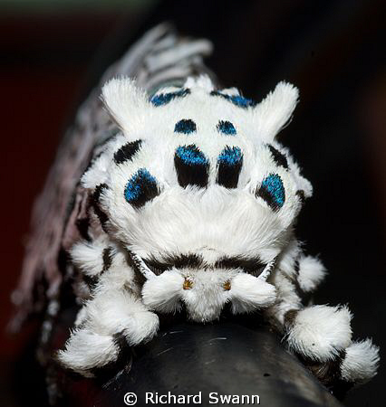 I take my kit from the rack and found this on my low pres... by Richard Swann 