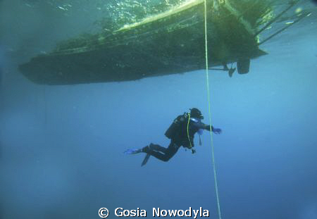 Waiting on a deco stop. by Gosia Nowodyla 