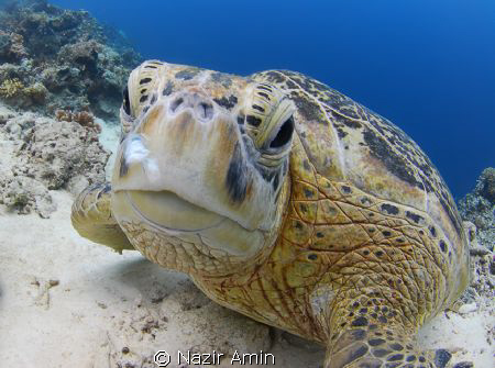 Whats up dude!

 by Nazir Amin 