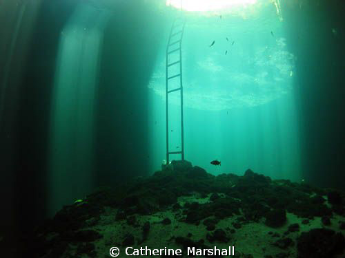 Calavera cenote (Temple of Doom), near Tulum by Catherine Marshall 