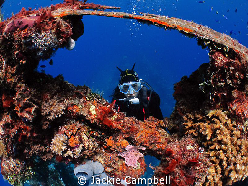 Kingpost of Fujikawa Maru.
MWB, ixus 980 and fisheye len... by Jackie Campbell 
